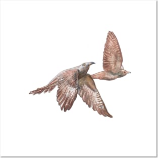 Cuckoo Birds in Flight Illustration Posters and Art